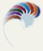 The New Zealand Curriculum icon